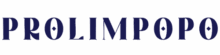 Professional Accountants in Polokwane